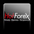 HOTFOREX je nejlep�� ONLINE broker V�CHODN� EVROPY a ASIE 2013
